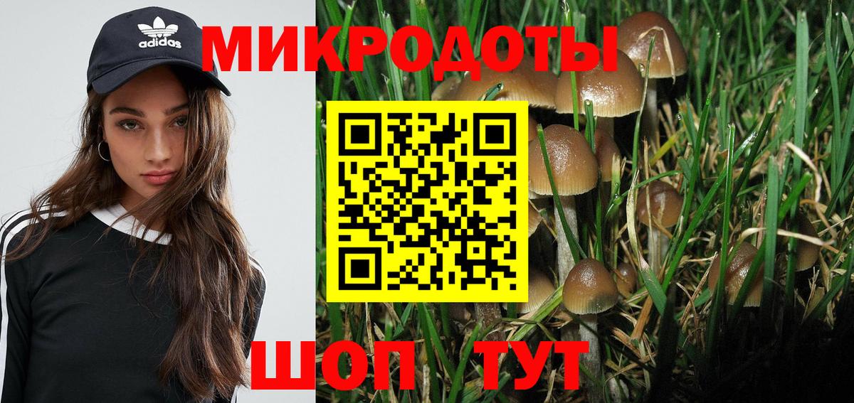 Псилоцибиновые грибы GOLDEN TEACHER Советский